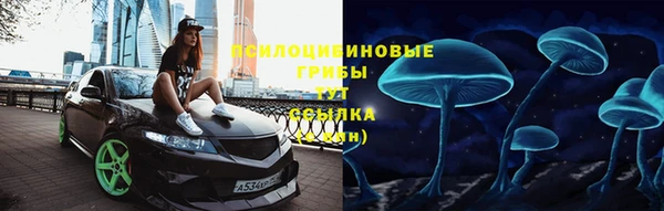 мдпв Нефтекумск