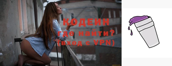 индика Нефтегорск