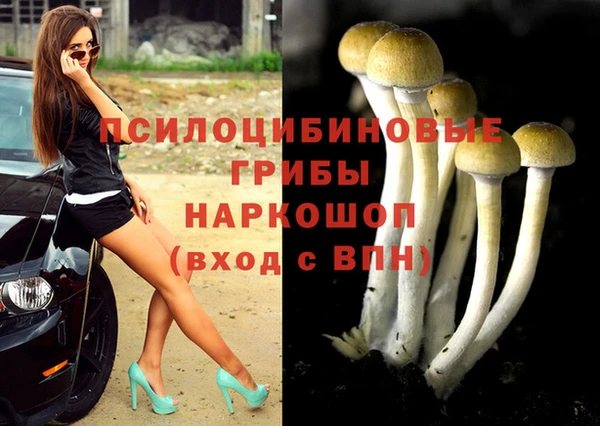 прущая мука Навашино