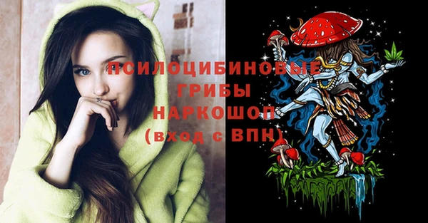 альфа пвп Гусь-Хрустальный