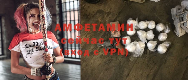 индика Нефтегорск